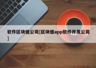 软件区块链公司[区块链app软件开发公司]